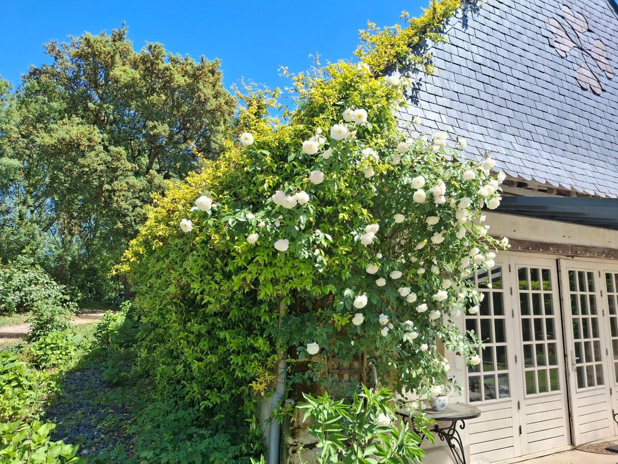 Bed and Breakfast Le Mouton Blaison Экстерьер фото